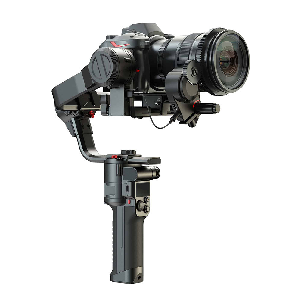 Professional camera gimbal rig